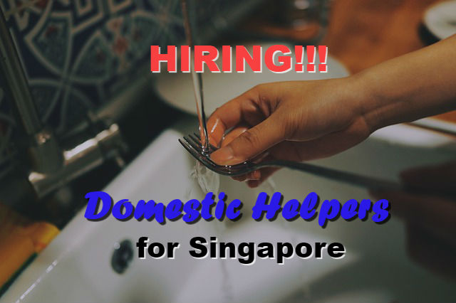 singapore-domestic-helper